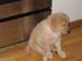 Bailey005