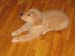 Bailey007