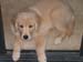Bailey022