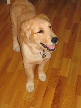 Bailey016