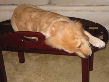 Bailey019