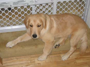 Bailey023