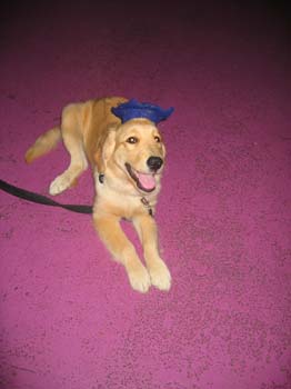 Bailey035