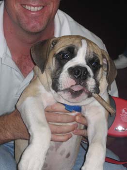 Bailey036