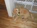 Bailey006