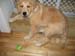 Bailey011