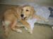 Bailey015