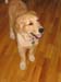 Bailey016