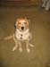 Bailey017