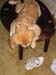 Bailey021