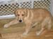Bailey023