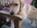 Bailey025