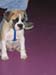 Bailey028