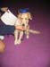 Bailey034