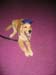 Bailey035