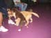 Bailey038