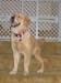Bailey040