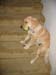 Bailey041