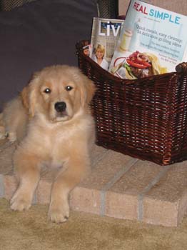 Bailey006
