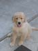Bailey001