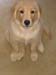 Bailey004