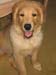 Bailey009
