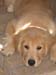 Bailey011