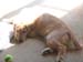 Bailey014
