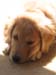 Bailey015