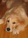 Bailey020