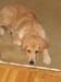 Bailey021